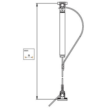 cliquer pour agrandir