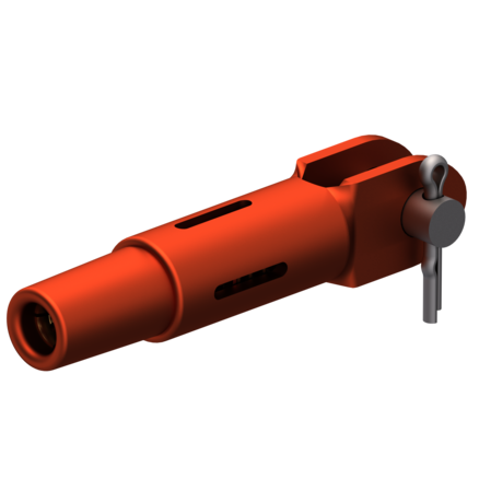 cliquer pour agrandir